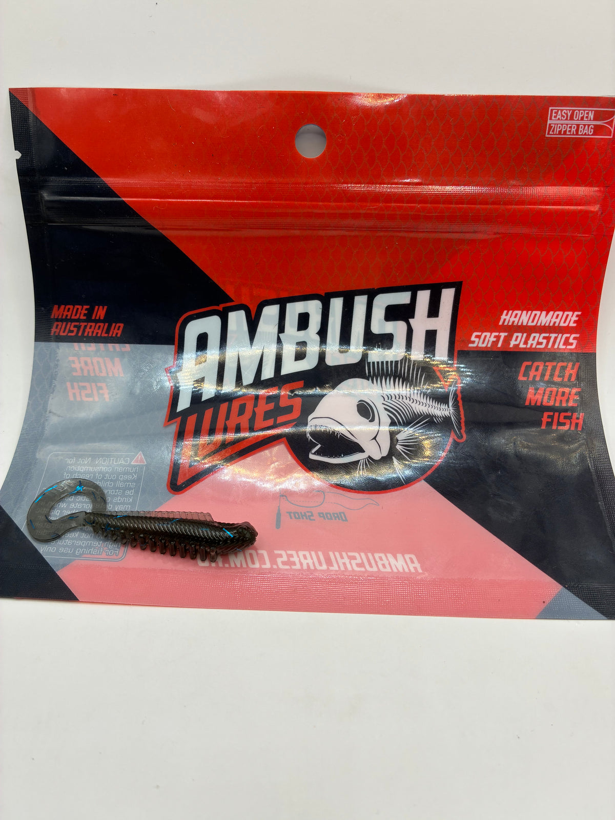 Curly Tail Minnow (multiple sizes)